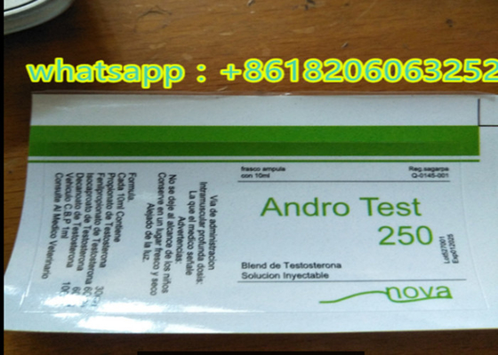 Glossy/Matt Finish TEST E 250 Pharmaceuticals 10ml Szklana butelka Etykieta Hologram dostosowany według potrzeb